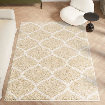 Shaggy Rugs