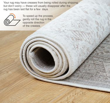 Traditional Area Rug – Super Soft,Weave Beige 60*110